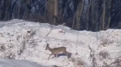 Фото: «Малоголосківські пагорби» можуть отримати статус не лише парку, а й об’єкту природо-заповідного фонду