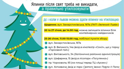 Фото: Львів'ян закликають правильно утилізовувати хвойні дерева після свят
