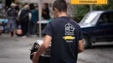 Фото: У Домівці врятованих тварин безкоштовно стерилізуватимуть котів та собак: шукають волонтерів
