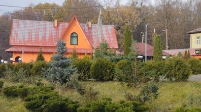 Фото: У двох громадах Львівської МТГ висадили ялинки