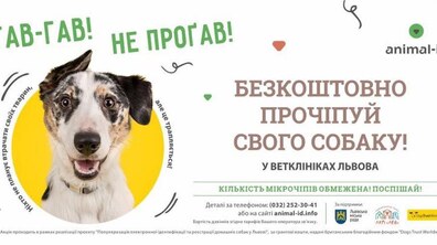Фото: ЛКП «Лев» безкоштовно прочіпує 5 тисяч господарських собак