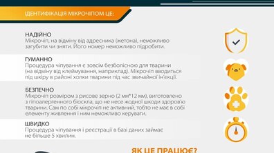 Фото: Цього місяця ЛКП «Лев» здійснить ще 6 акцій з виїзного чіпування собак: графік