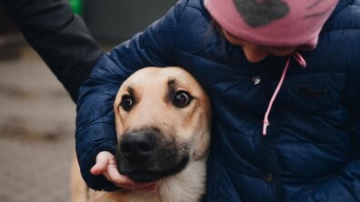 Фото: Центр адопції, гуманність та півтисячі щасливих тварин: 2017 рік досягнень ЛКП «Лев»