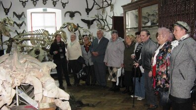 Фото: Для дідусів та бабусь організували екскурсію в Зоологічний музей