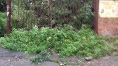 Фото: Комунальні служби міста ліквідовують наслідки негоди