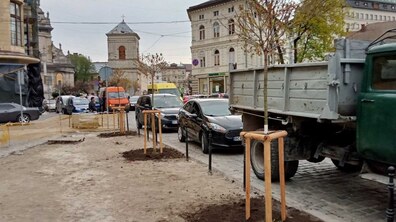Фото: У Львові висаджують 33 дерева, закуплені коштом благодійників
