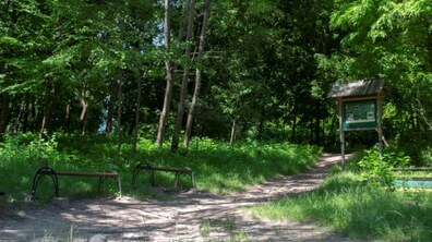 фото ілюстративне, з відкритих джерел
