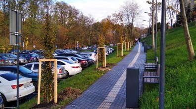 Фото: 73 дерева та 139 кущів висадили біля лікарні святого Миколая, що на вул. П. Орлика