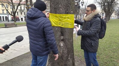 Фото: У центрі Львова планують провести інноваційне лікування каштанів