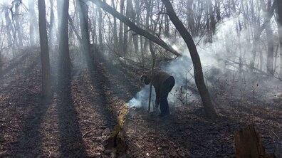 Фото: Два підпали у парку «Знесіння» за минулу добу: пошкоджено близько 4 га заповідної зони
