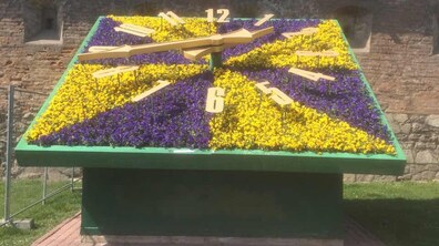 Фото: У Львові розпочалась весняна висадка квітів: біля пл. Митної заквітчали годинник