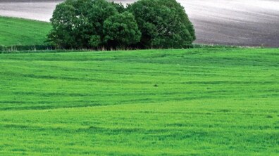 Фото: Виставка фотографій «ГОЛОГОРИ — світи горішні» у Львівській національній академії мистецтв