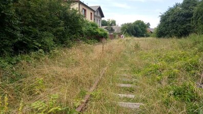 Фото: В рамках Майстерні міста 2021 на Личакові створять зелену лінію, яка з’єднає район пішохідним зв'язком