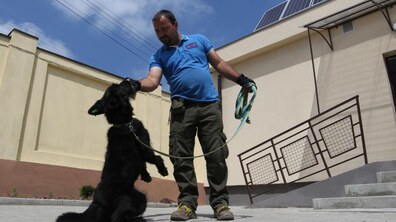 Фото: У Львові комунальні та державні ветклініки безкоштовно вакцинують тварин