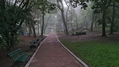 фото умовне
