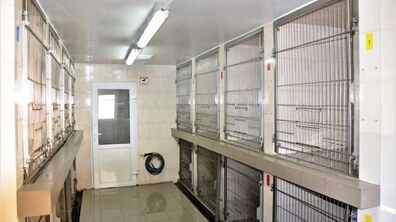 Фото: ЛКП «Лев» відновило свою роботу в повному обсязі після двотижневого карантину