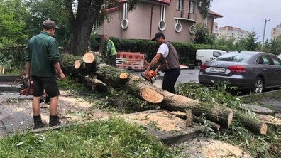 Фото: У Львові ліквідовують наслідки негоди