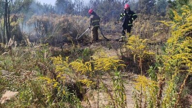 Серед сухих чагарників та квітучої рослинності двоє пожежників у захисному спорядженні гасять задимлення трави. У руках вони тримають пожежний шланг, з якого струменем йде вода.