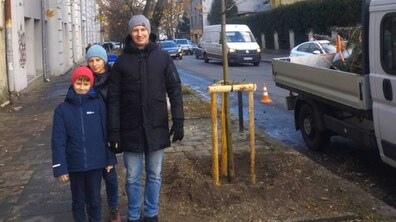 Фото: 10 дерев уже висадили у Франківському районі в межах акції «Подаруй місту дерево»