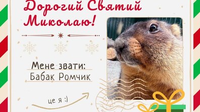 Фото: Домівка врятованих тварин запускає благодійну акцію до свята Миколая