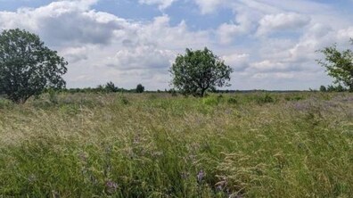 Фото: У Львові розробили схему екологічної мережі