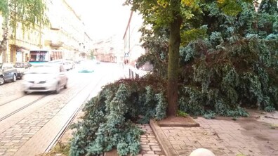 Фото: До кінця дня у Львові відновлять рух усього електротранспорту