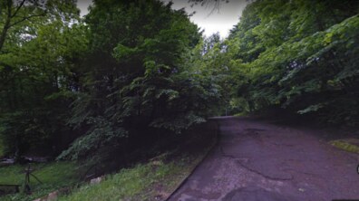 Фото: Сесія затвердила зміну меж Снопківського парку