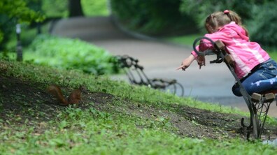 фото ілюстративне, автор: Роман Балук