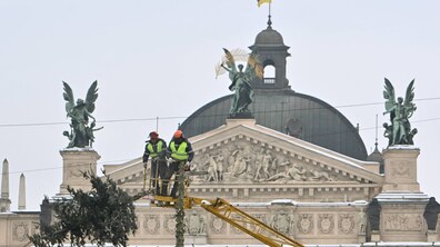 Двоє комунальників на вишці зрізають бензопилою верхівку головної ялинки, яка падає на землю. Позаду них - оперний театр