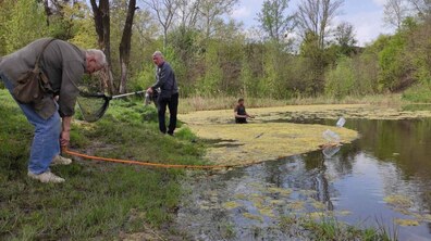 Фото: 15 кубічних метрів водних рослин та намулу: у парку «Знесіння» чистять ставок