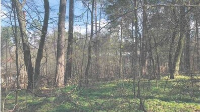 Фото: Мерія Львова не дозволила збудувати багатоквартирний житловий будинок у Брюховичах