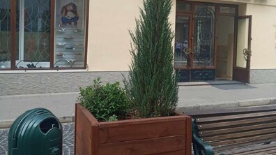 Фото: На вул. Сербській висадять композиції із низькорослих кущів