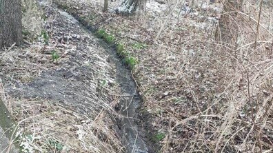 Фото: У Рудно кілька мешканців через саморобну канаву спускали стічні води у заказник