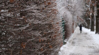фото ілюстративне, автор: Роман Балук