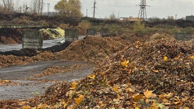 величезні купи листя, складені у ряди на станції компостування