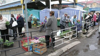 фото умовне