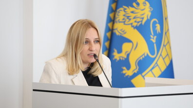 Депутатка Львівської міської ради та директорка Інституту стратегії культури Юлія Хомчин підчас виступу на пленарному засіданні сесії.