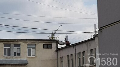 Фото: Комунальні служби міста ліквідують самосіви на дахах будинків