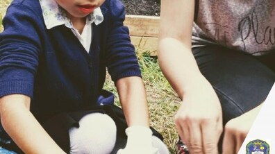 Фото: У Львові створять перший урбан-сад на території школи