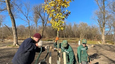 Фото: У Замарстинівському парку висадять понад тисячу рослин