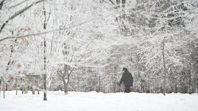 чоловік в чорному одязі йде одним із засніжених парків Львова. Дерева та земля в парку вкриті білим снігом