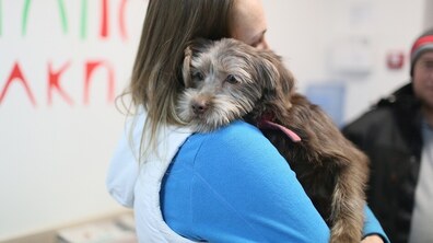 Жінка тримає на руках маленького собаку в приміщенні ветеринарного центру.