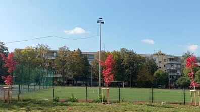 Фото: У Львові озеленять майже два десятки закладів освіти