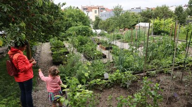 Фото: У Львові хочуть облаштувати сад за зразком, як у чеському Брно