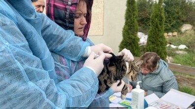 Фото: Майже 30 домашніх тварин провакцинували від сказу у Лисиничах