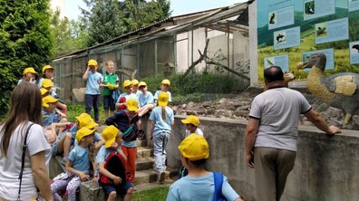 Фото: Подорожі, концерти та експерименти: у червні для львівських учнів працюватимуть Школи дозвілля
