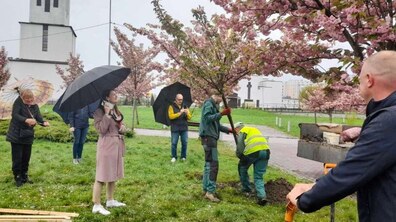 Фото: Львів’яни подарували місту дерев та кущів на 1 млн 200 тис. грн (відео)
