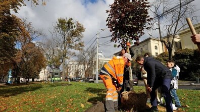 Працівник в помаранчевій спецформі висаджує молоде дерево на міській зеленій ділянці, поруч допомагають дорослі та дитина. Позаду видно вулицю з автомобілями, дерева з осіннім листям і міські будівлі