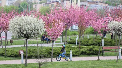 фото: Роман Балук
