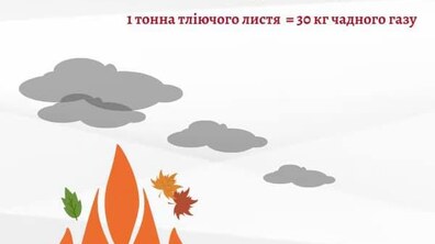 Фото: Мешканців закликають не палити опале листя, а здавати його на компостування